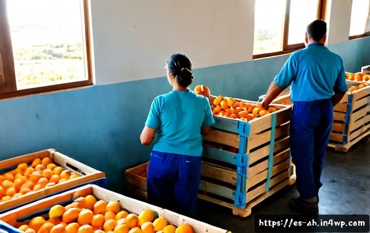 협동조합의 성공적인 운영 사례 - Photorealistic successful agricultural cooperative in rural Spain, diverse adult farmers in practica...
